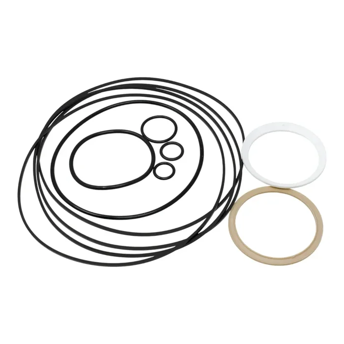 6685070, Hydraulic Drive Motor Seal Kit
