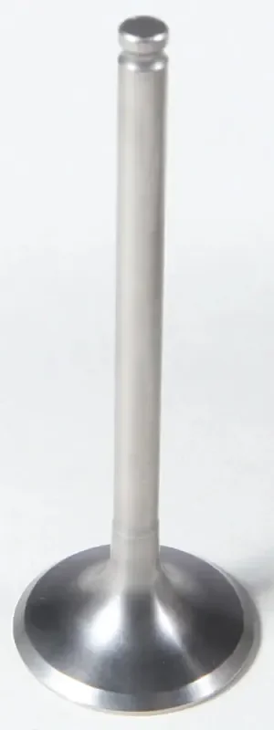 80-80876T Exhaust Ti Valve