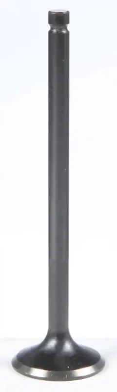 82-82008 Black Diamond Exhaust Valve