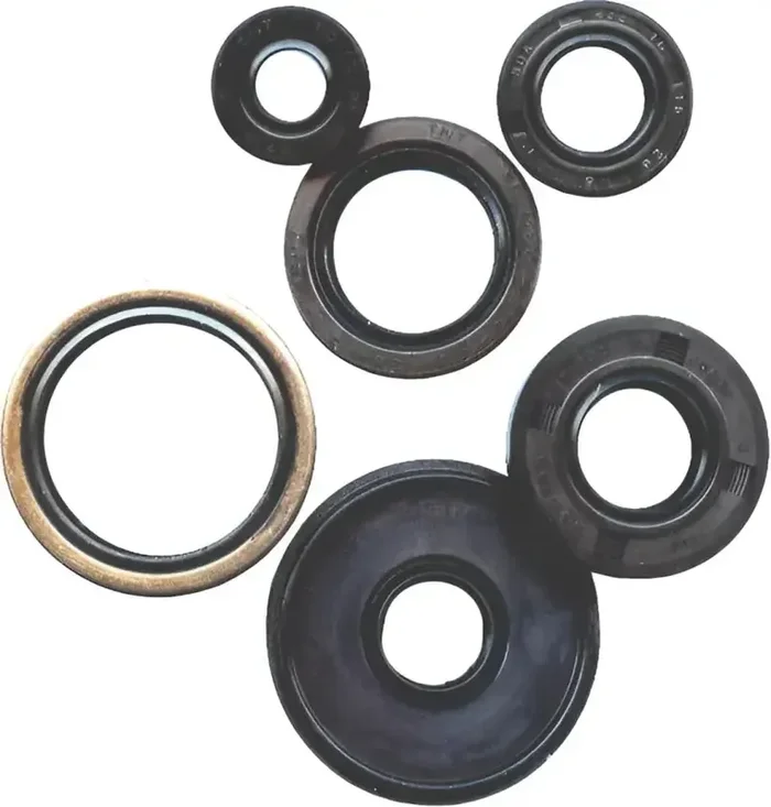 822145 Oil Seal Set