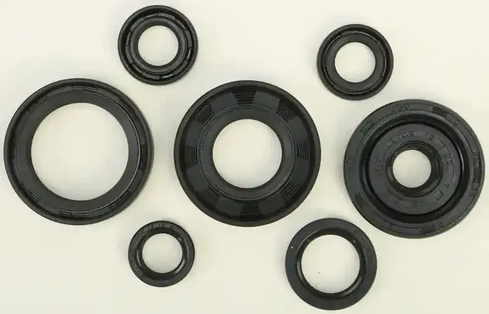 822173 Oil Seal Set