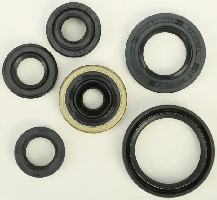 822176 Oil Seal Set