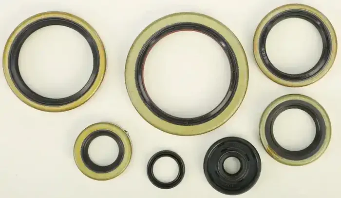822192 Oil Seal Set
