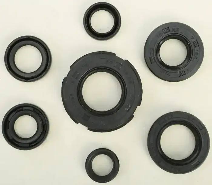 822219 Oil Seal Set