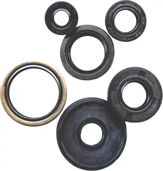 822223 Oil Seal Set