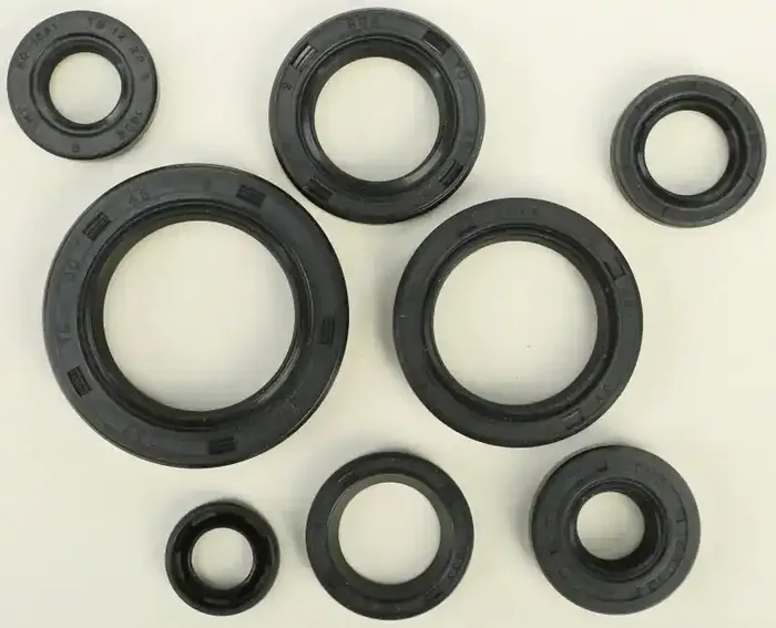822283 Oil Seal Set