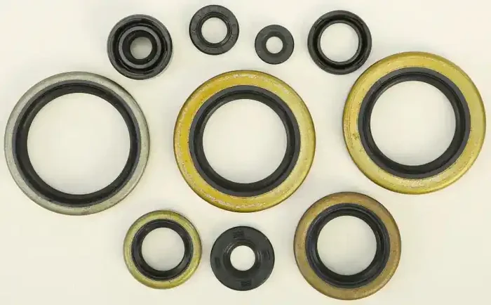 822295 Oil Seal Set