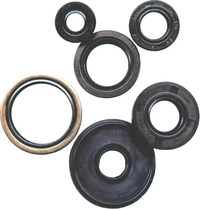822345 Oil Seal Set