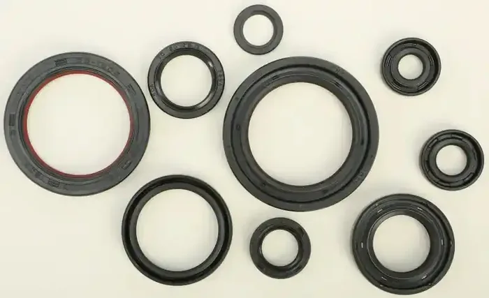 822352 Oil Seal Set