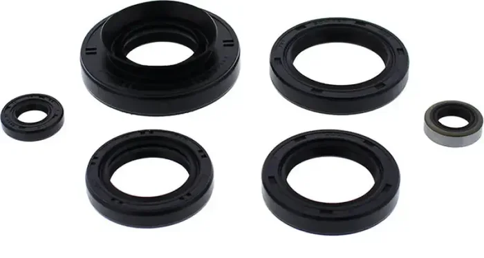 822366 Oil Seal Set