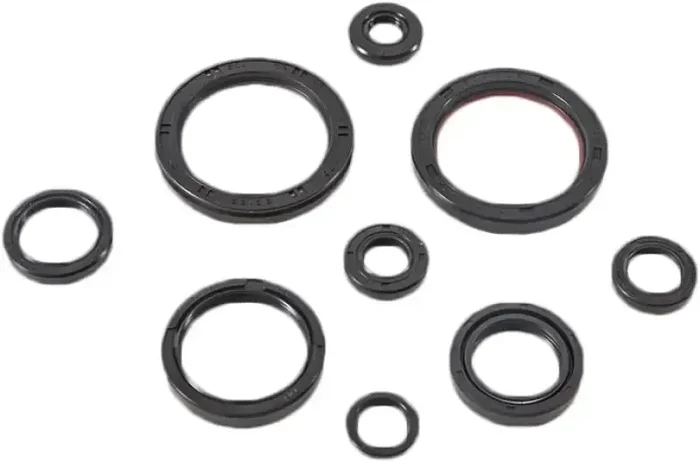 822989 Oil Seal Set