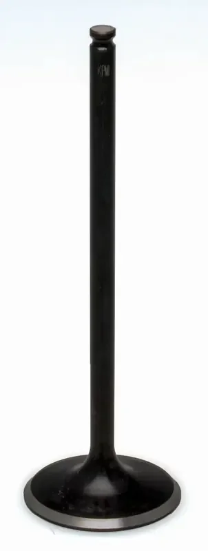 96-96516 Exhaust Valve Black Diamond SS