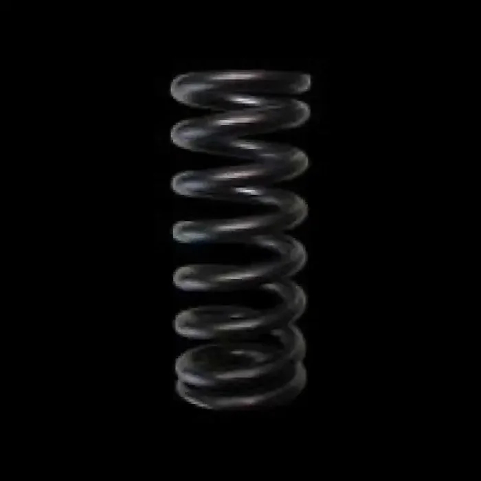 Brian Crower Honda L15 Single Valve Springs (Set of 16)