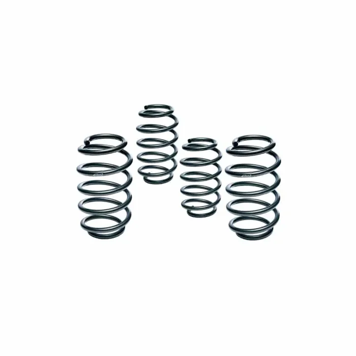 Eibach E10-15-009-04-22 Audi TT Pro-Kit Performance Spring Kit