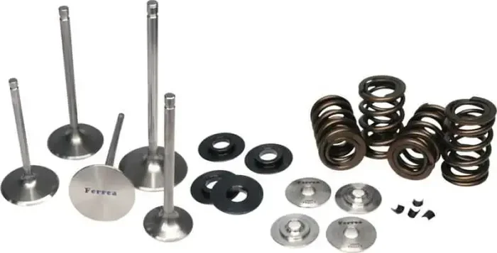 Ferrea Honda S2000 Dual Spring Kit