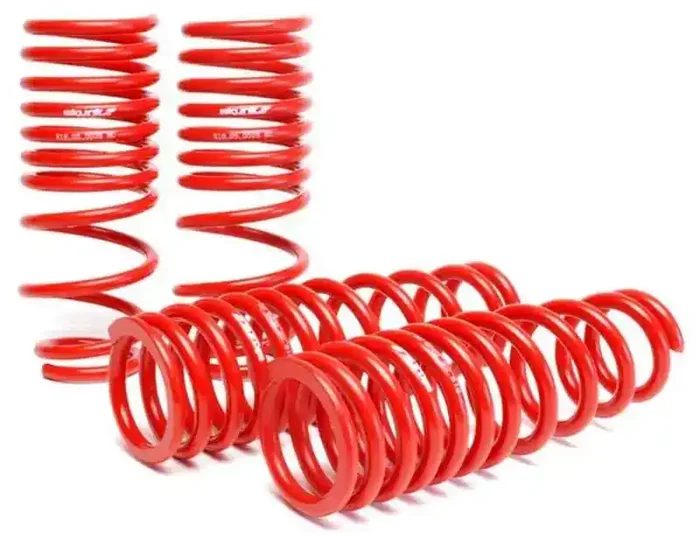 Skunk2 92-95 Honda Civic/Del Sol Lowering Springs (2.50in – 2.25in.) (Set of 4)